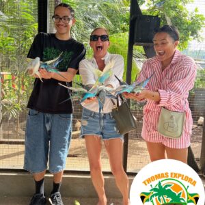 Island Roots Experience Tour Package