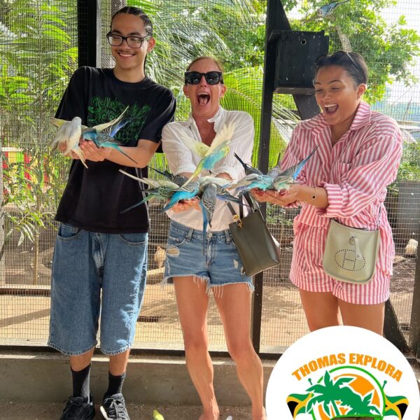 Island Roots Experience Tour Package