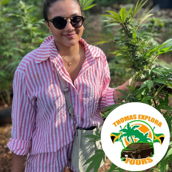 Weed Farm Tour - Image 3