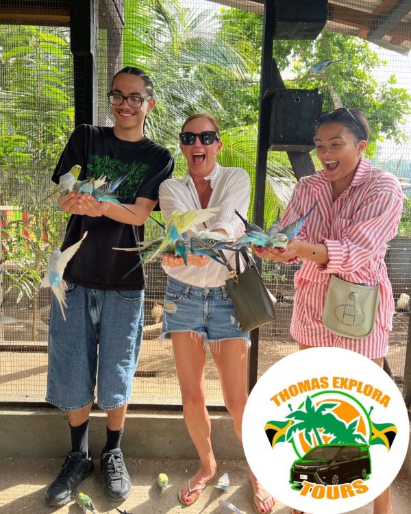 Jungle Rush & Falls Escape Tour Package - Image 4